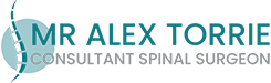 Mr Alex Torrie Logo